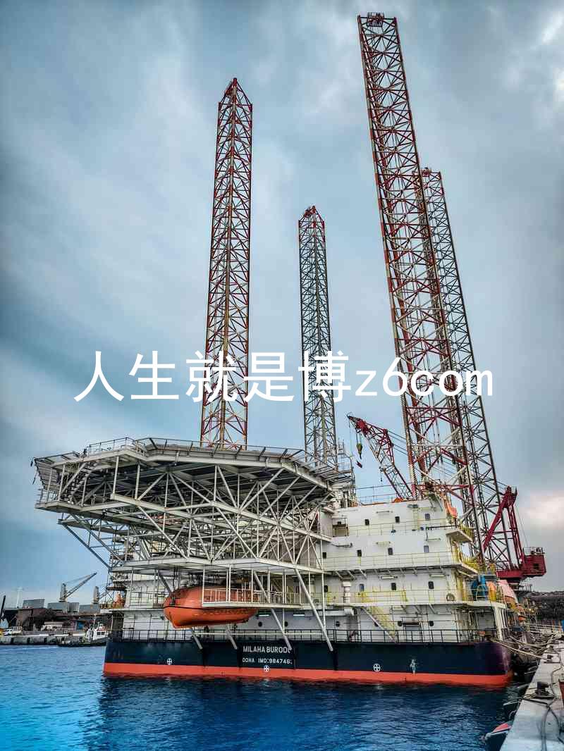 人生就是博z6com